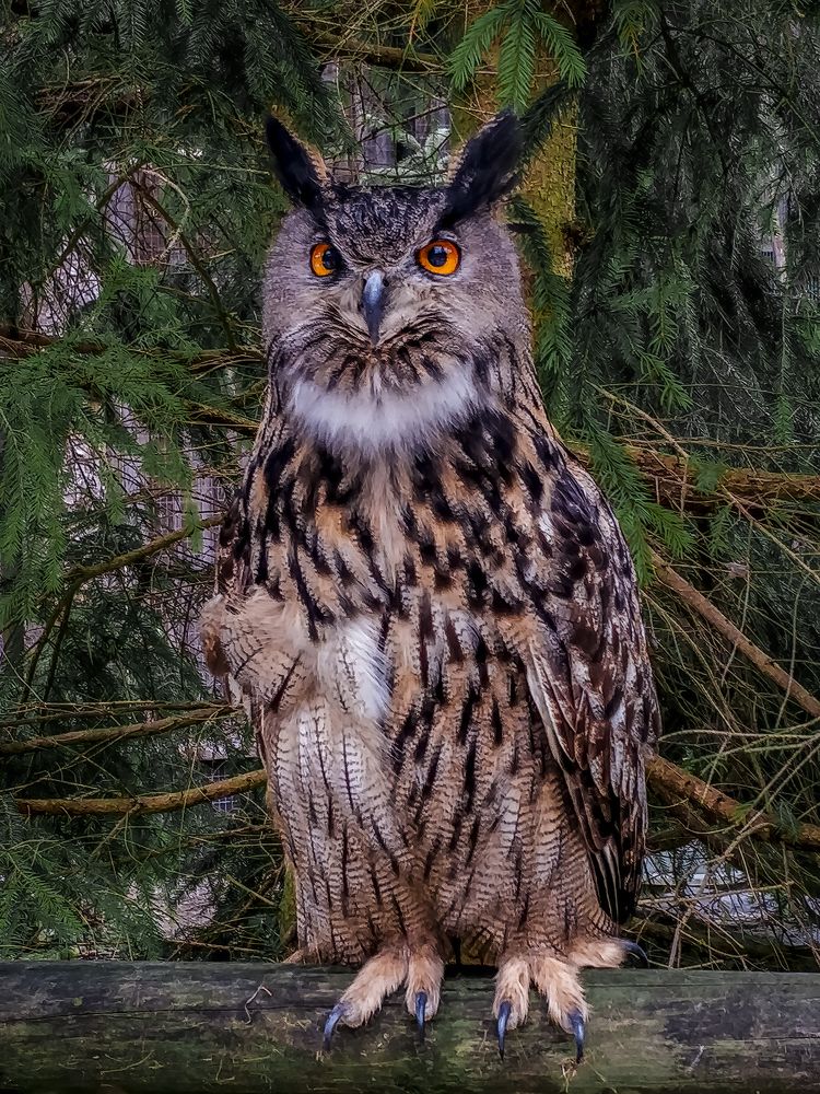 Photograph by Sarah Rührnößl