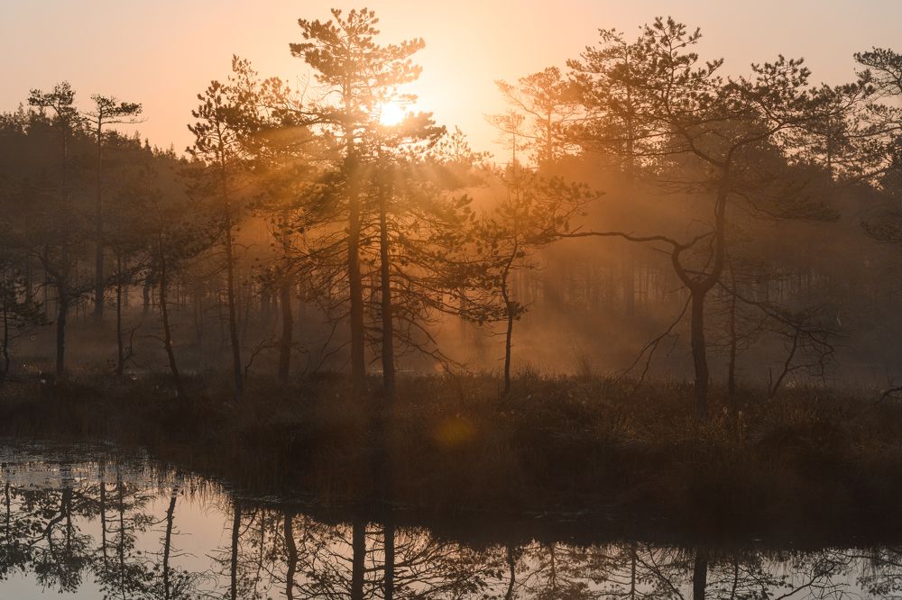 Photograph by Юлия Лаптева