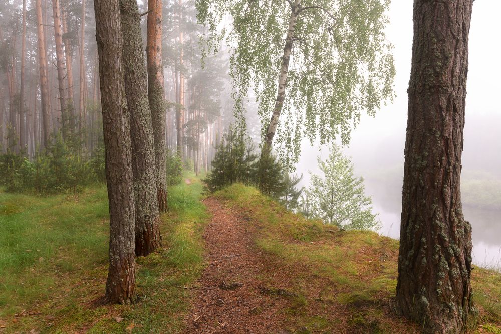 Photograph by Юлия Лаптева