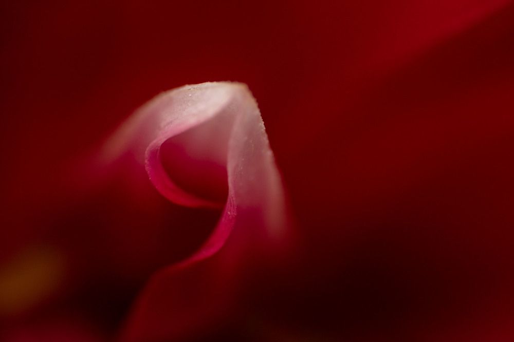 Photograph by Chaitanya Dudhalkar