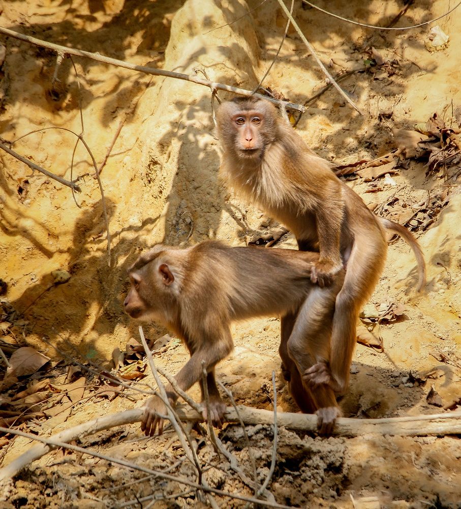 Photograph by Mirza Md moon ridoy