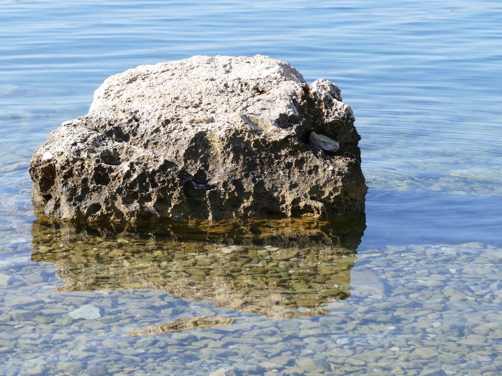 Фотография автора Dubravko Maricic