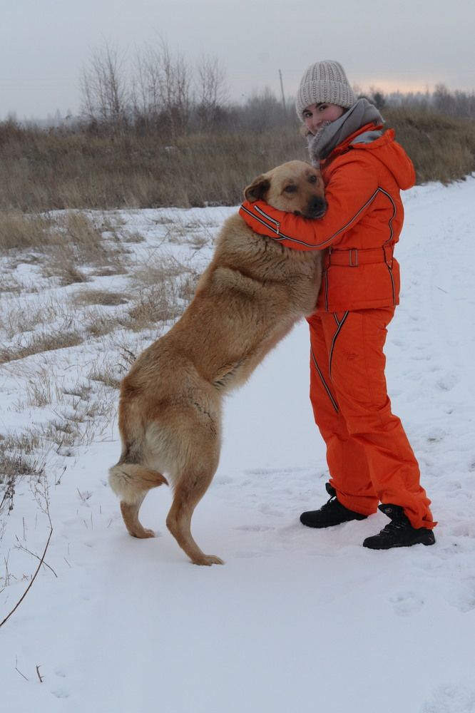 Photograph by Елена Мизина