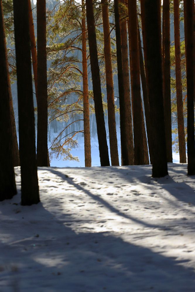 Photograph by Юрий Епифанцев