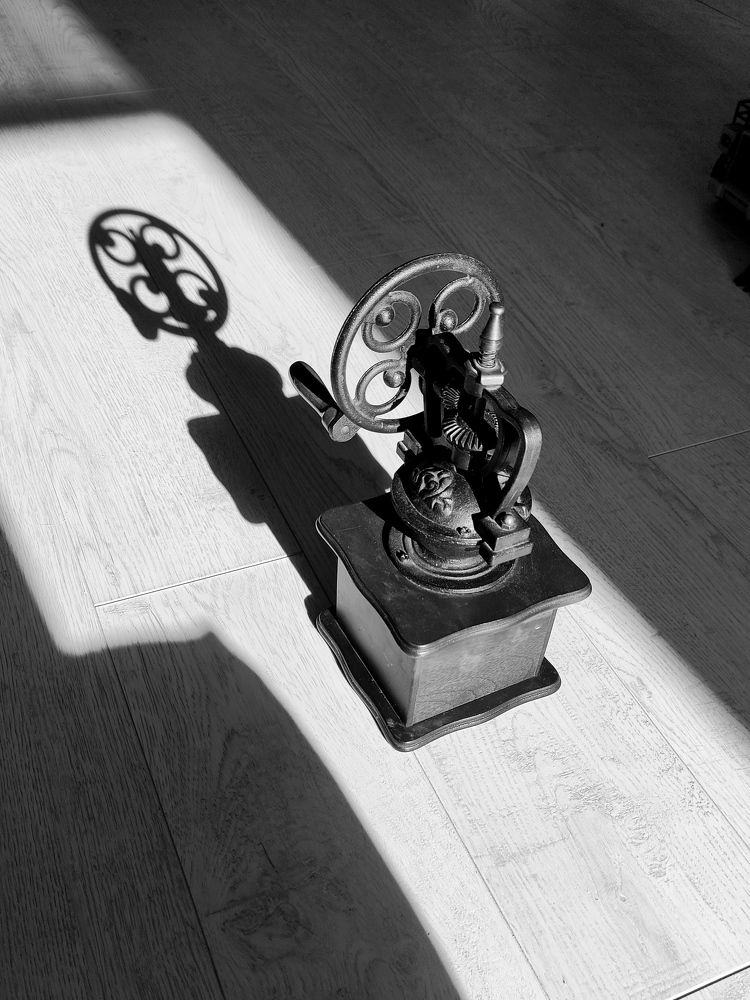 Photograph by Светлана Холодова