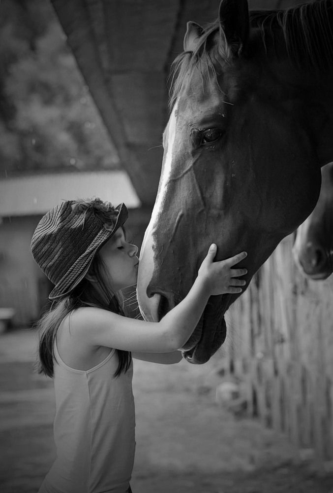 Photo #7415979