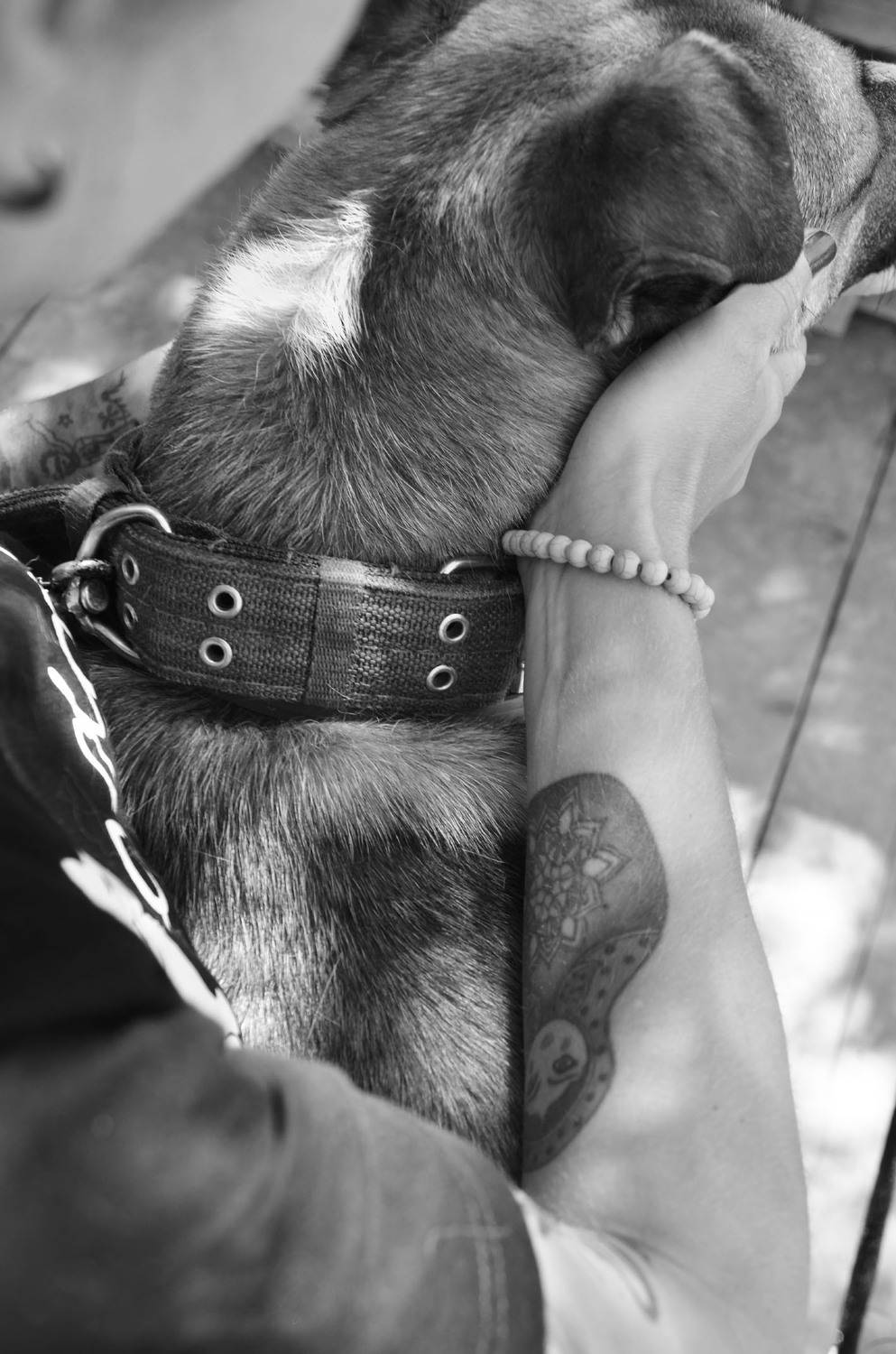 Photo #7415987