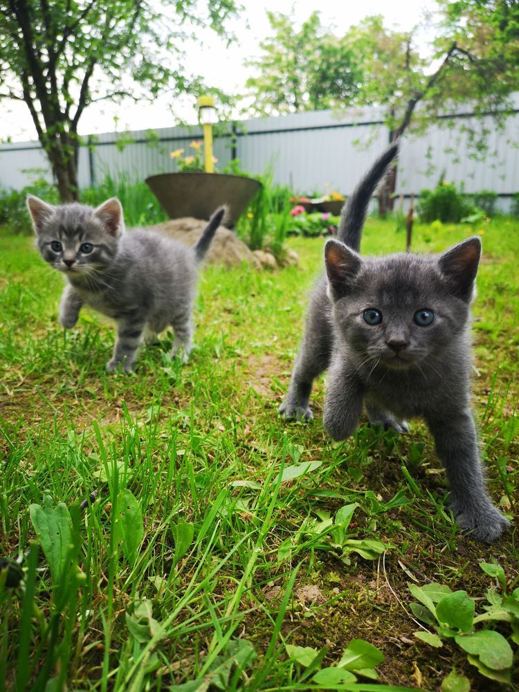 Photograph by Екатерина Кузьмина