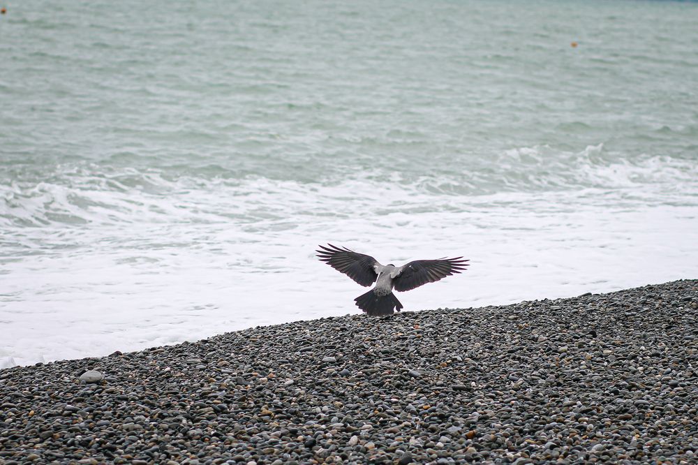 Photograph by Елена