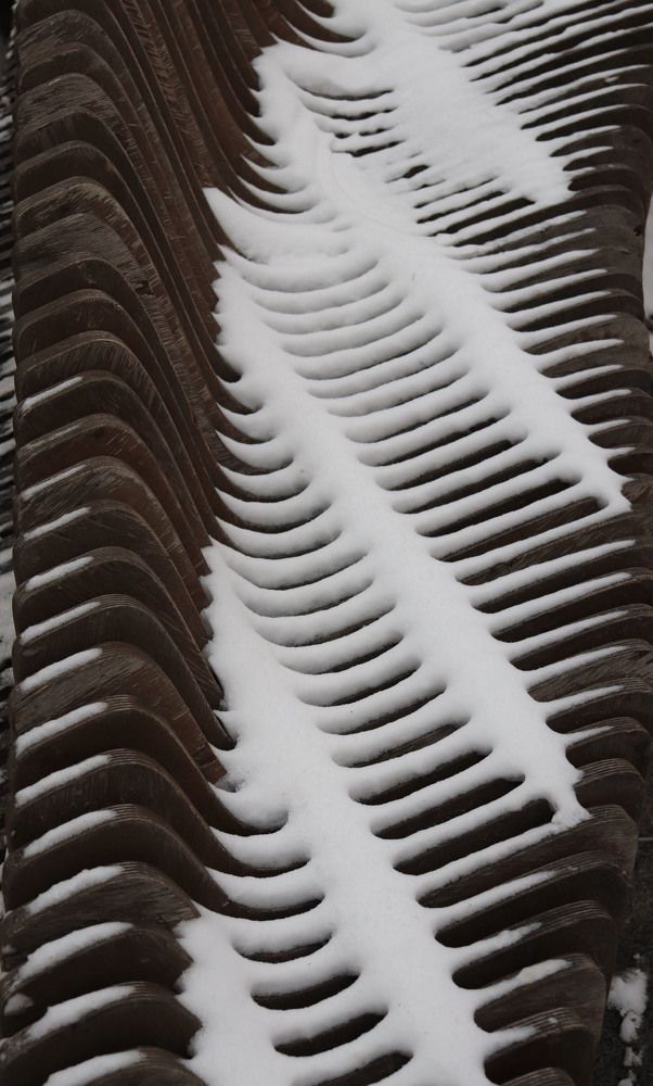 Photograph by владимир Заворотный