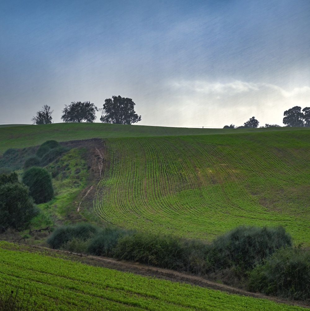 Фотография автора Анатолий