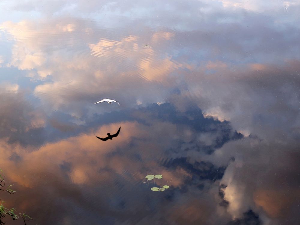 Свободный полет.