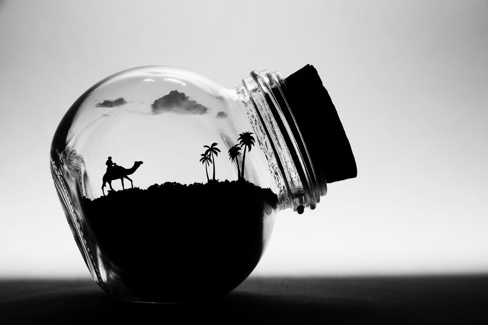 Photograph by 