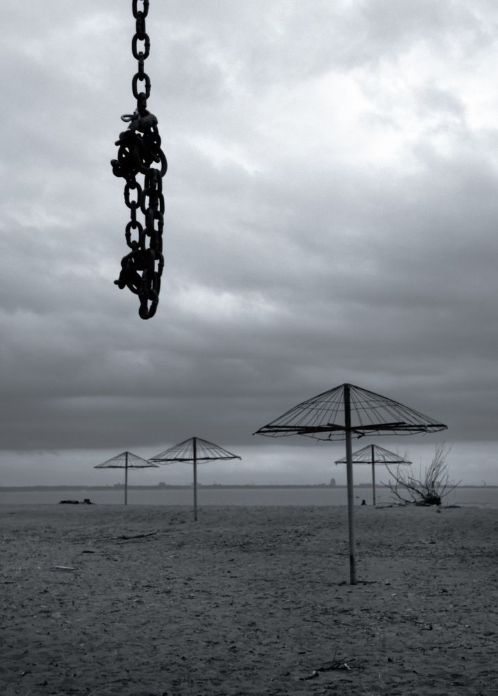 Photograph by Mari Kon