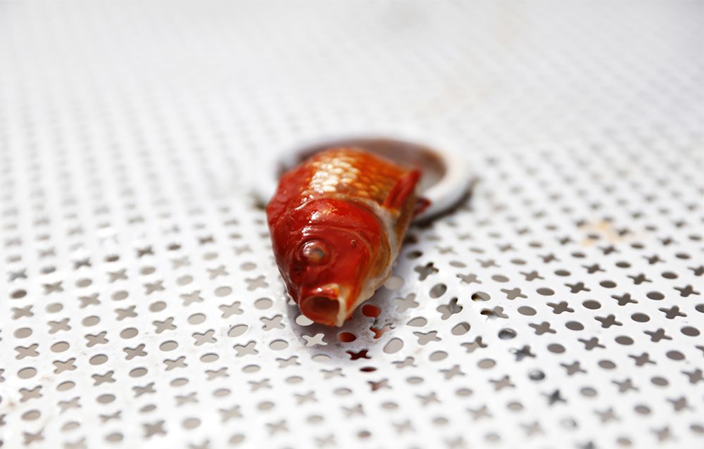 Photograph by Andrea Guedella