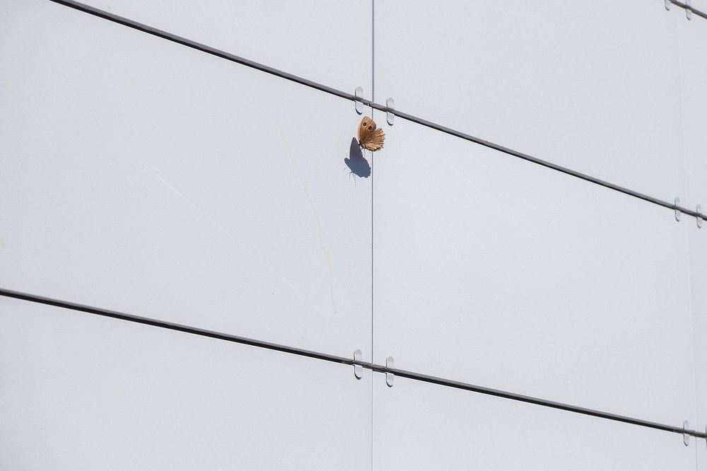 Photograph by Ольга Таланцева