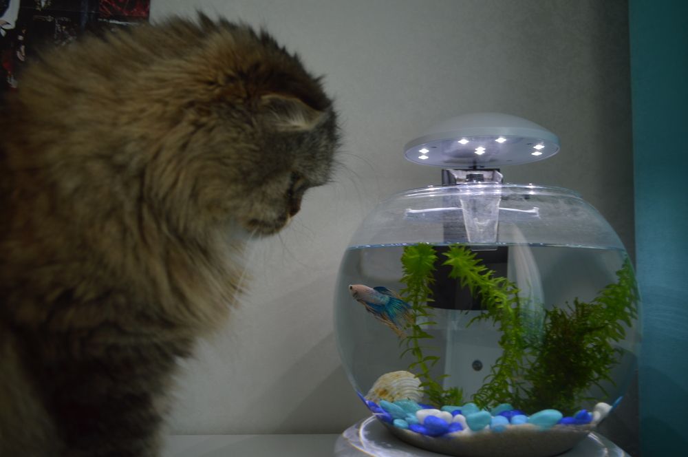 Photograph by Ангелина