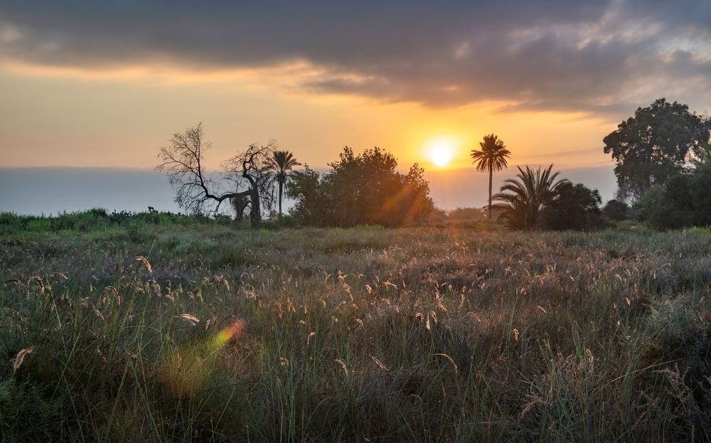 Фотография автора Анатолий