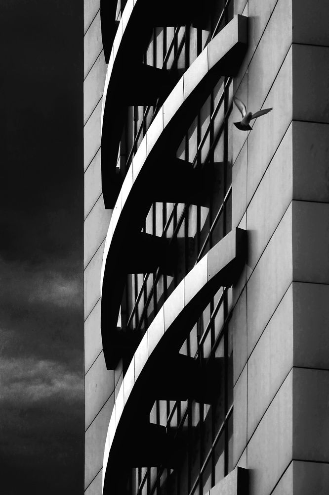 Фотография автора amir shafahi