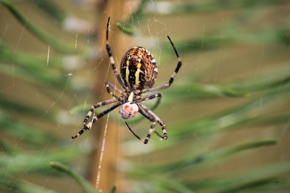 Фотография автора Никита Гутор