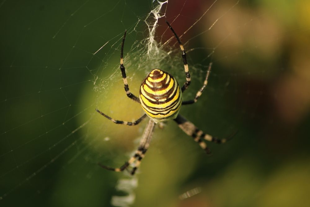 Фотография автора Никита Гутор