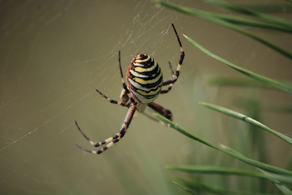Фотография автора Никита Гутор