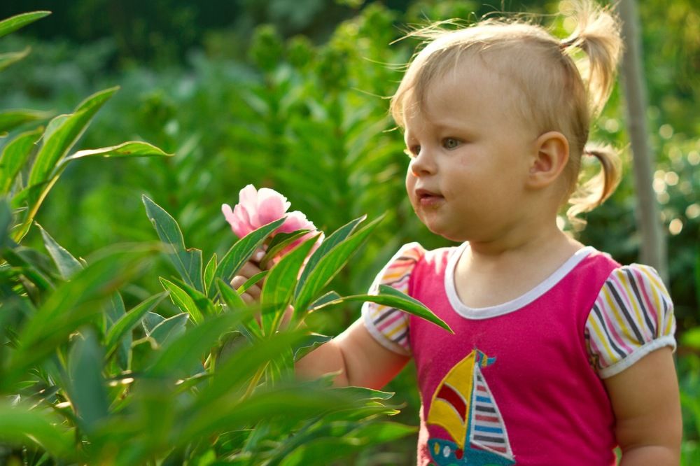 Photograph by Андрей Авраменко