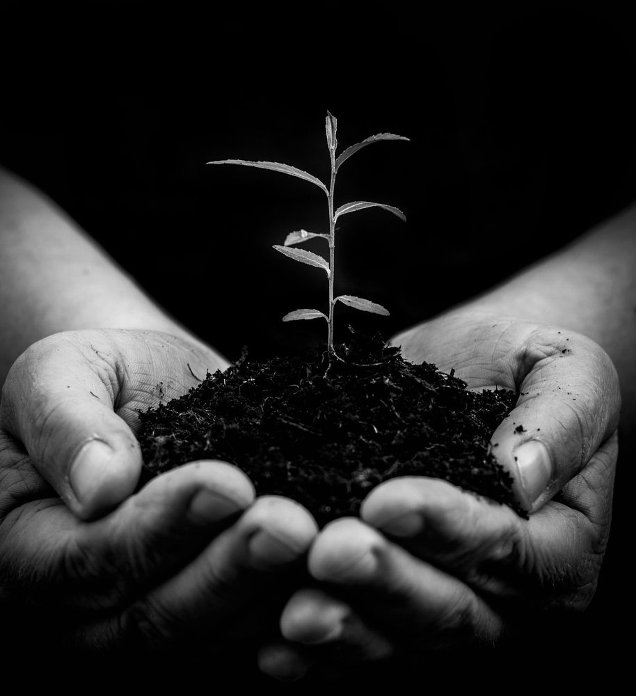 Photograph by Alex Gabchoug