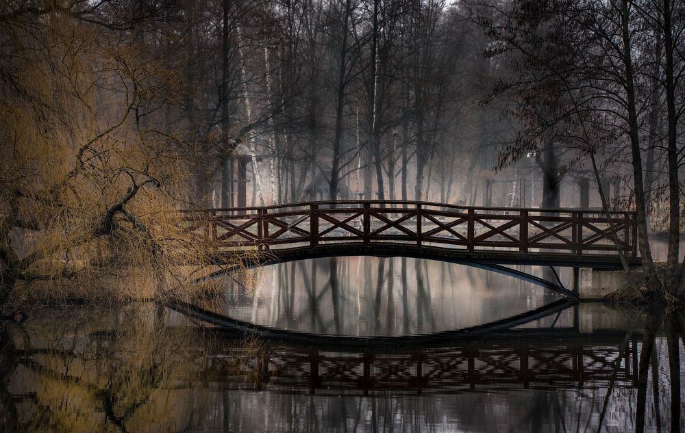 Фотография автора NIghtdream