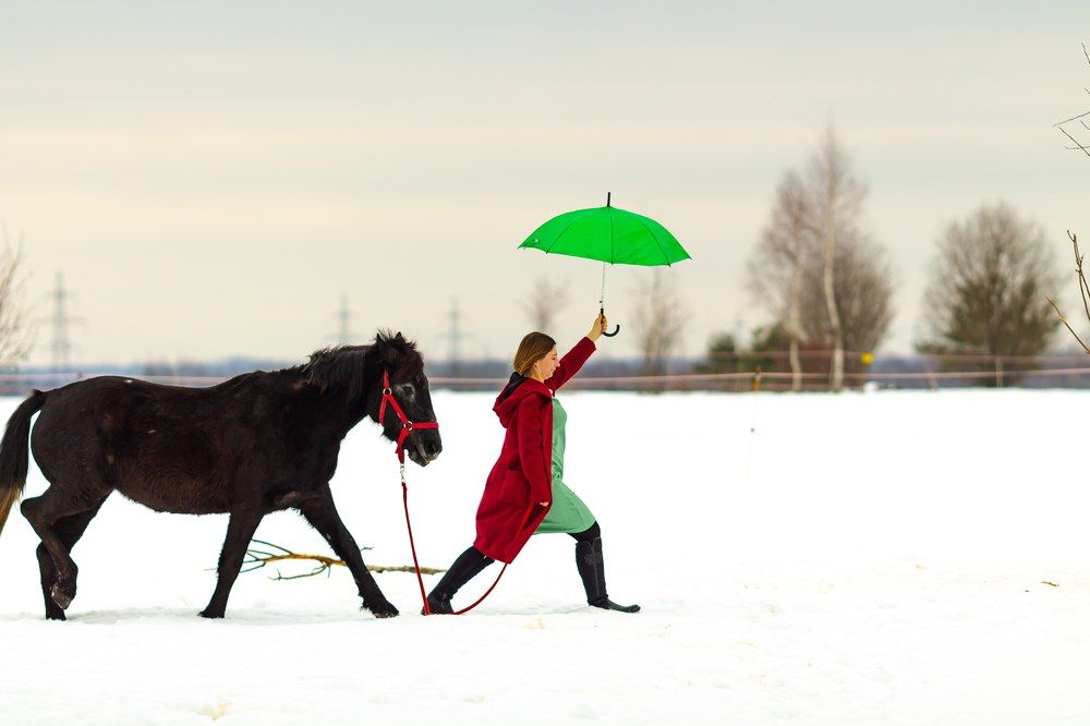 Photograph by Литвиненко Светлана