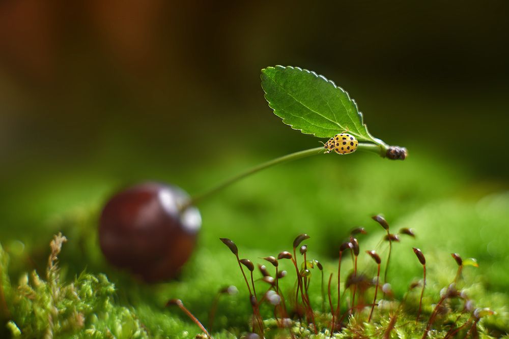 Photograph by Екатерина Глебова