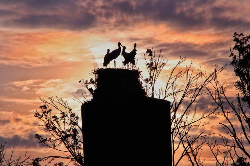 Photograph by Olga Asson