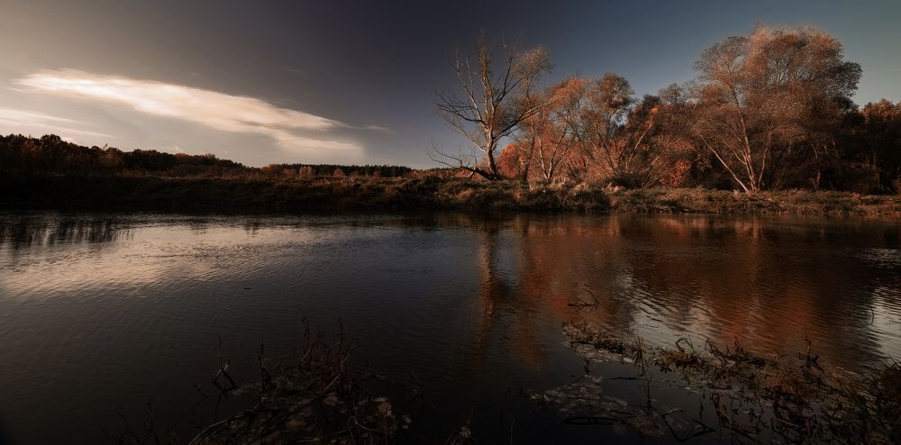 Фотография автора NIghtdream