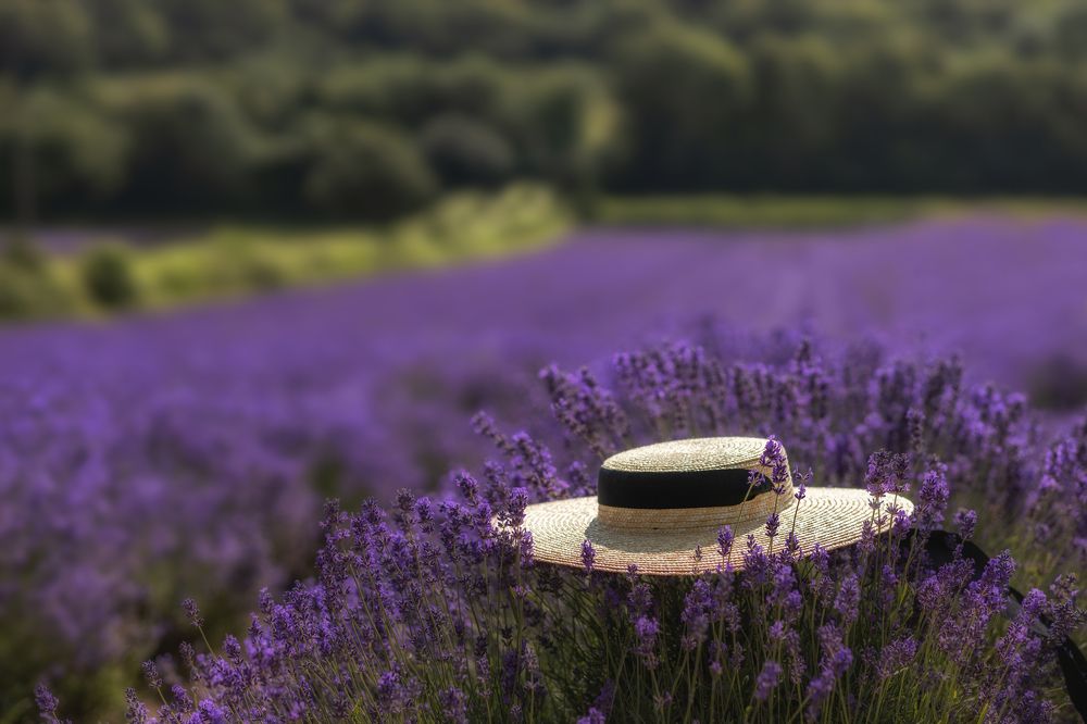 Фотография автора Natalja Bindere