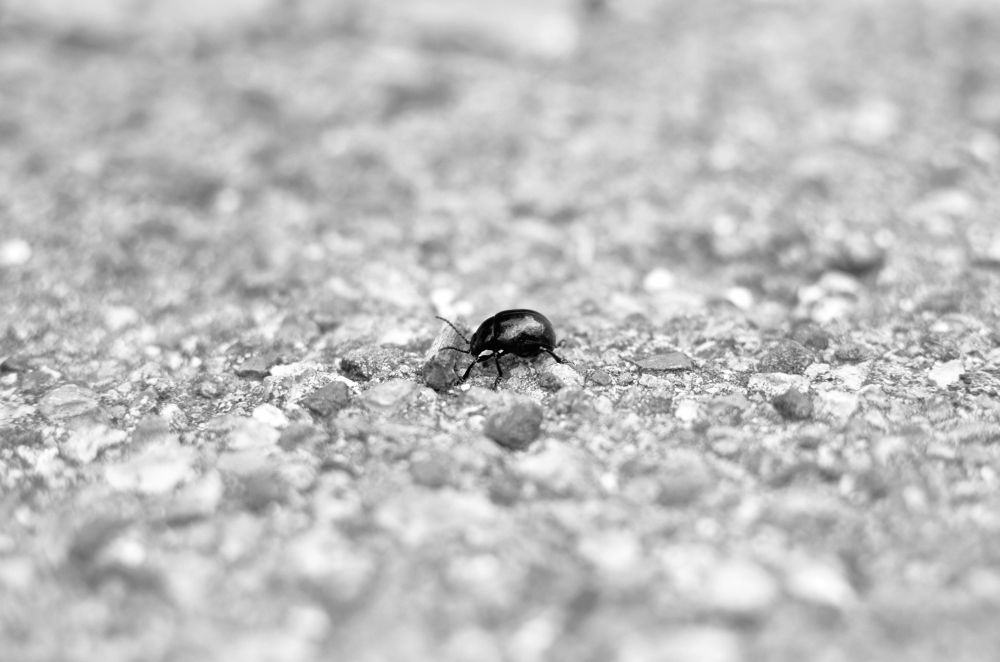 Photograph by Олег Титкин