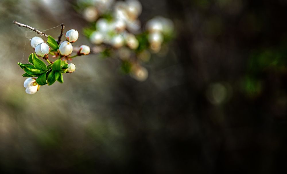 Photograph by Сергей Абашкин