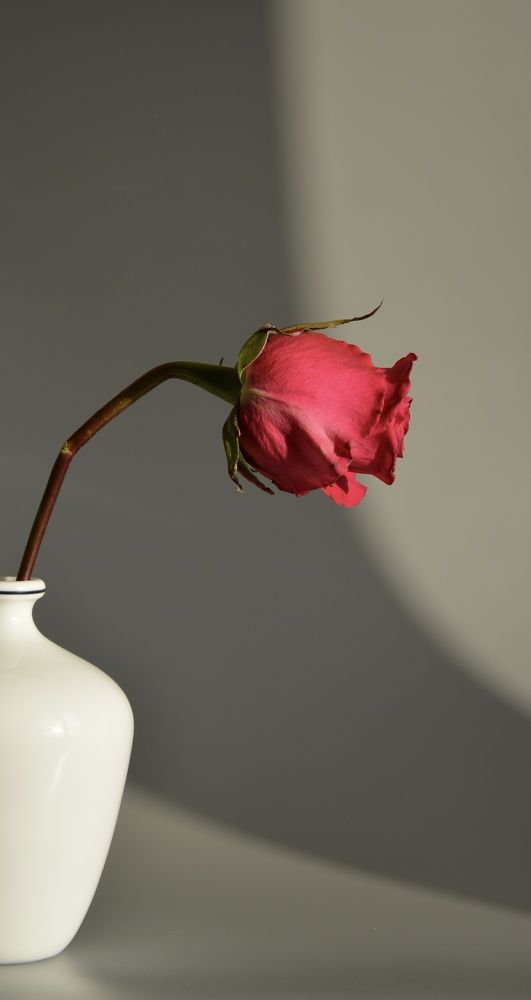 Photograph by Наталья Силохина