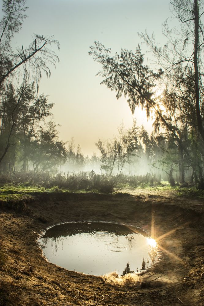 Photograph by Arnab Jana