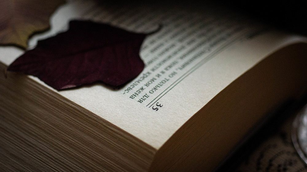 Photograph by Ирина Кошлюнова