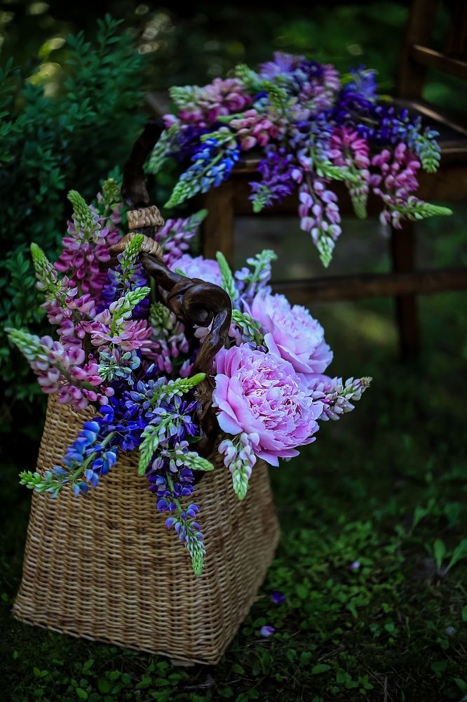 Photograph by Татьяна Кытина