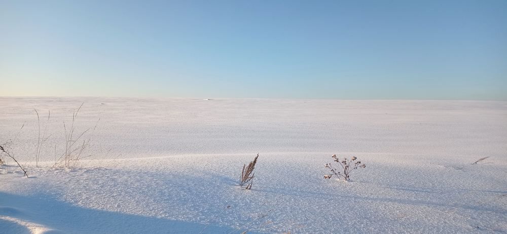 Снежное поле