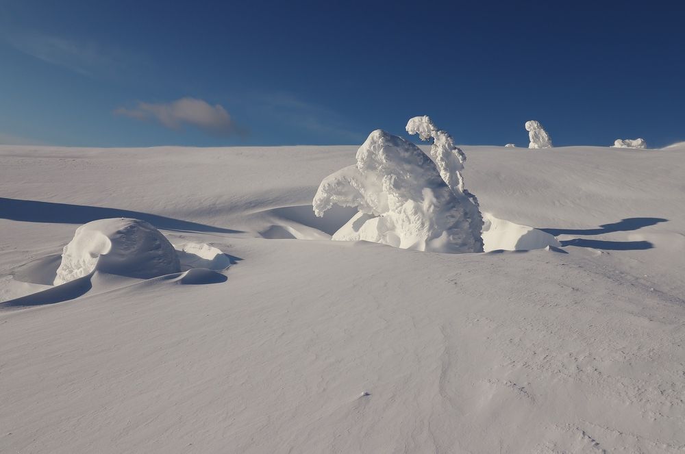 На горе Волосяной