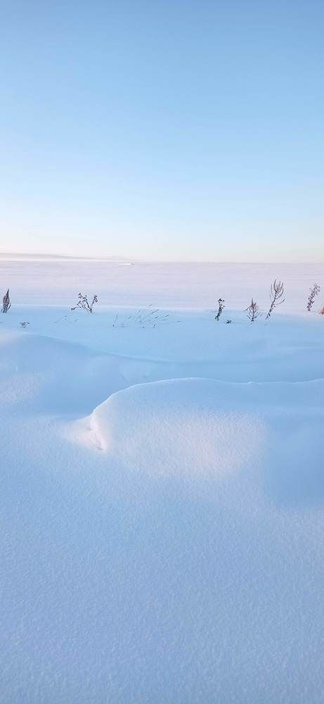 Белое безмолвие