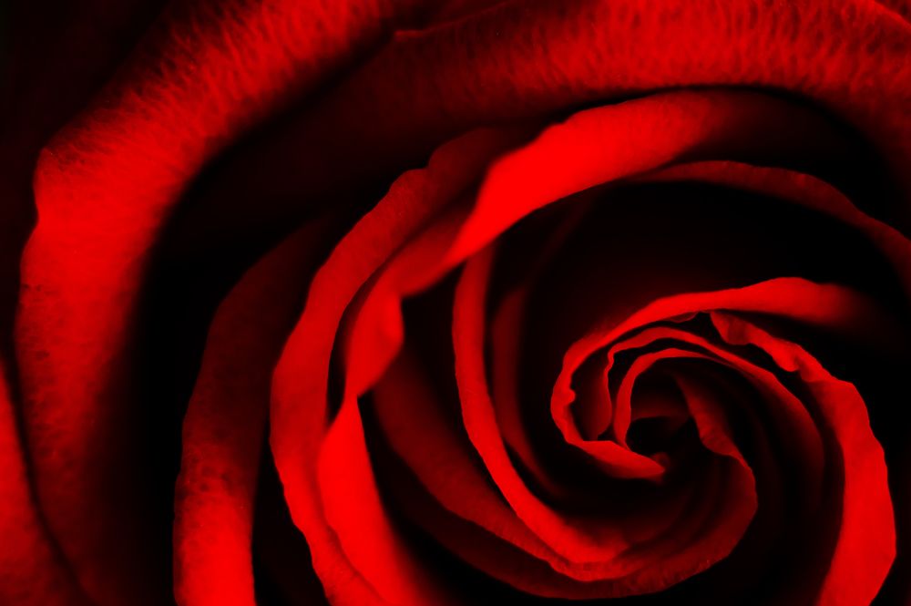 Photograph by Анастасия Селезнева