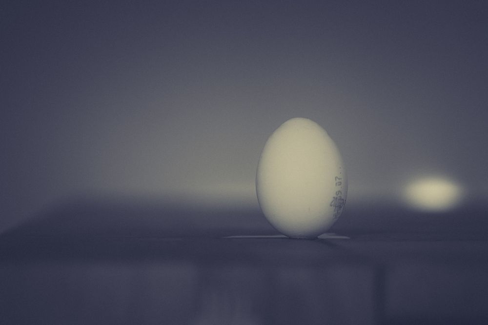 Photograph by Masood Aslami