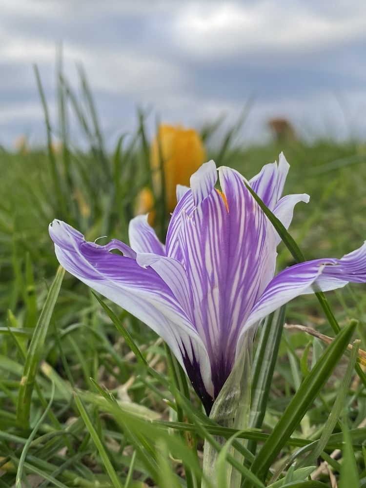 Фотография автора Natalja Bindere