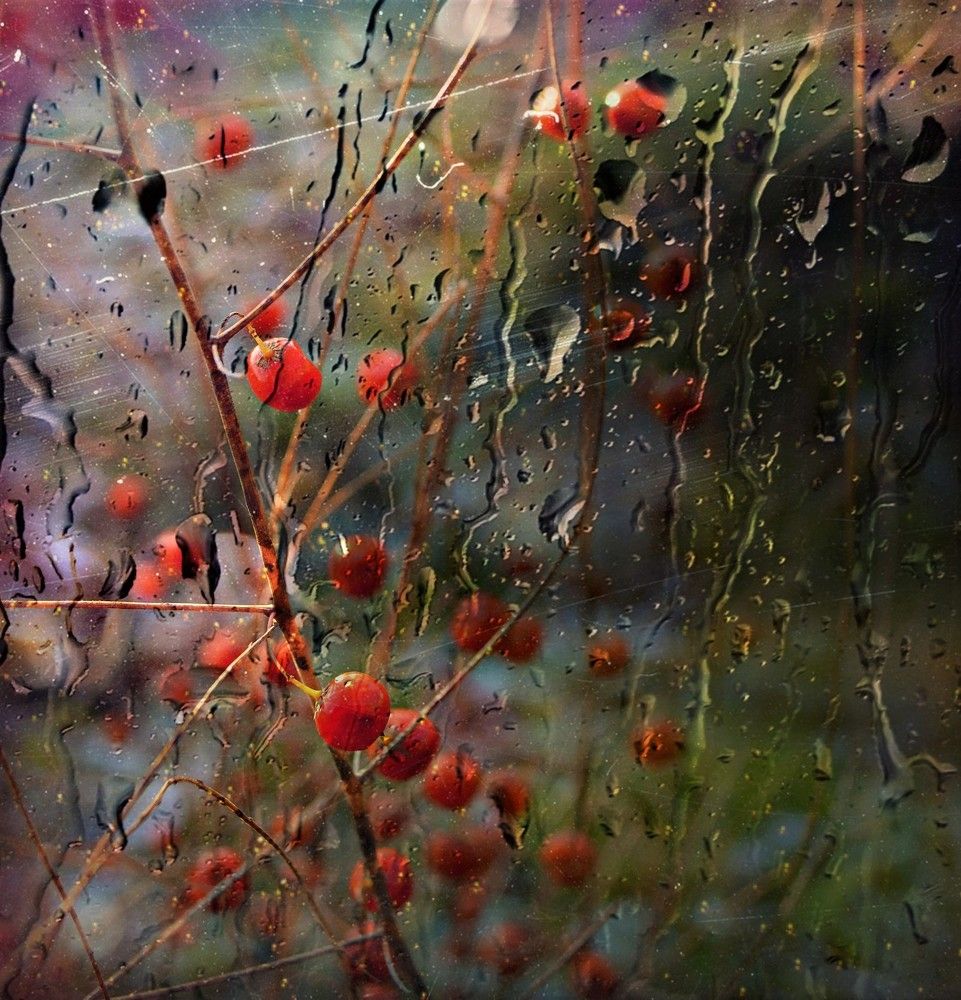 Photograph by Ирина Кузнецова