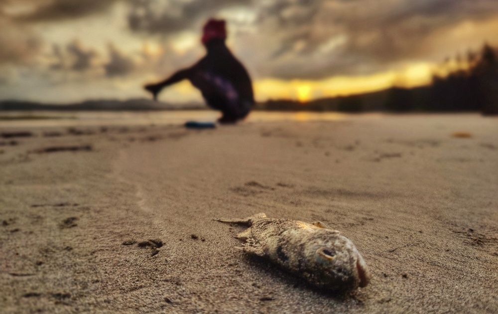 Photograph by Anunay Mistry