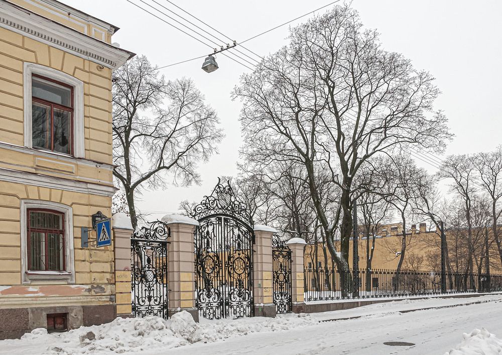 Photograph by Vladimir  Komarov