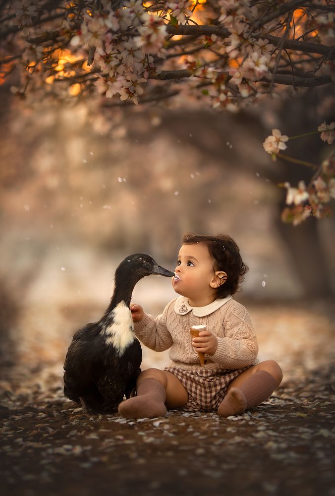 Photograph by yarden kaplan